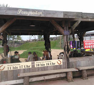 Ponyreiten wird auch kostenpflichtig angeboten