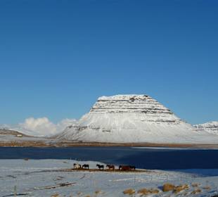 Snaefellsnes / Grundarfjördur