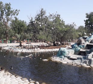Al Areen Wildlife Park