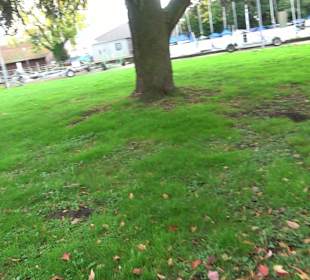 Segelhafen Lindau-Insel