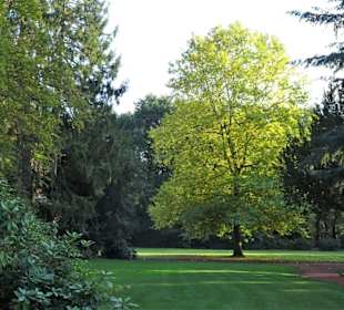 Rundgang durch den herbstlichen Schlosspark