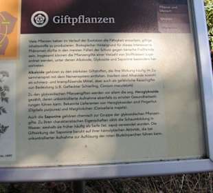 Hinweise auf die Giftpflanzen