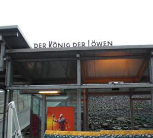 König der Löwen
