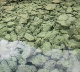 Озеро Курнас 