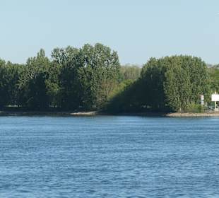 Rheinpromenaden-Bummel in Mainz