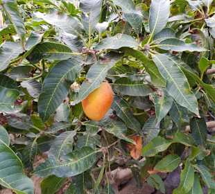 Landschaft von La Gomera