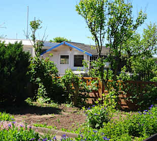 Rundgang durch die Schrebergarten-Kolonie