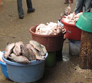 Frisch-Fisch- und -Geflügel-Stand