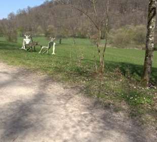 Sculptoura Frühstück im Freien