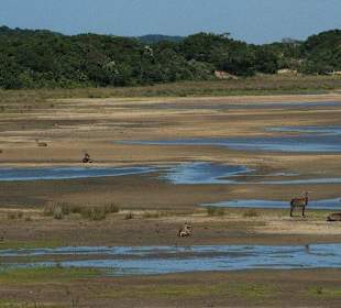 ISimangaliso Wetlands Park