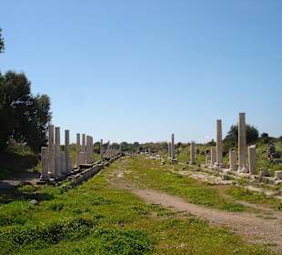 Side da kommt man nicht vorbei