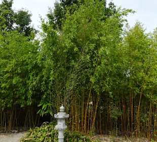 Impressionen aus dem Park der Gärten