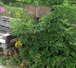 ALB-GOLD Naturgarten