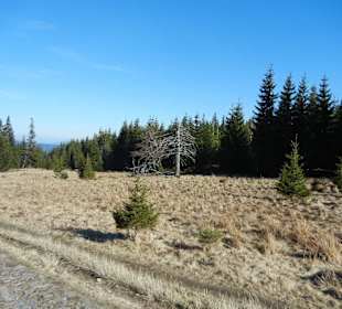 Karkonoski Park Narodowy