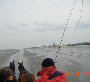 Da muss der Kutscher ganz schön aufpassen