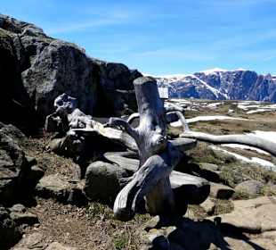 Fantastische Ausblicke