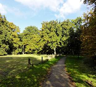 Herbstspaziergang durch den Bürgerpark Bremen