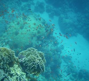 Hotel Prima Life Makadi Bay