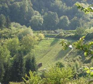 Ausblick