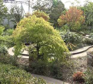 Erlebnispark Tripsdrill