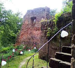 Burg Wilenstein in Trippstadt