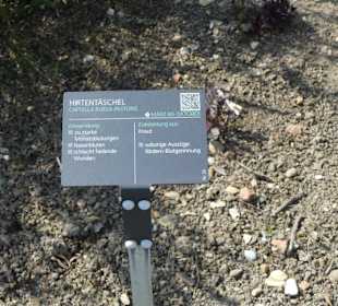 Erläuterungen der Kräuter