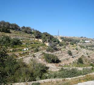 Għargħur