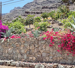 Inselrundfahrt Gran Canaria