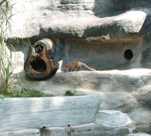 Zoo Leipzig
