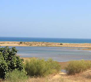 Blick in das Naturschutzgebiet