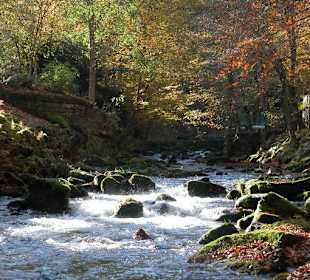 Die Enz im Kurpark