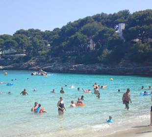Strand