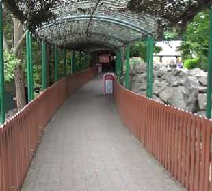 Themenbereich Skandinavien