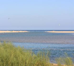 Blick in das Naturschutzgebiet
