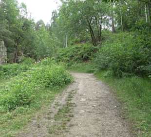 Schutzgebiet Spitzberg, Pfaffenberg
