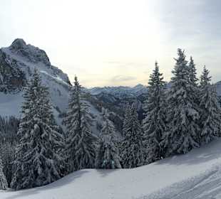 Breitenberg Schlittenbahn 