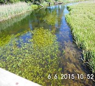 Piękna Krutynia, postój podczas spływu.
