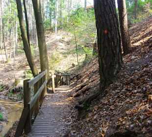 Waldweg zum Bitterbach kleine Brücken