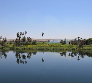 Auf den Weg nach Luxor