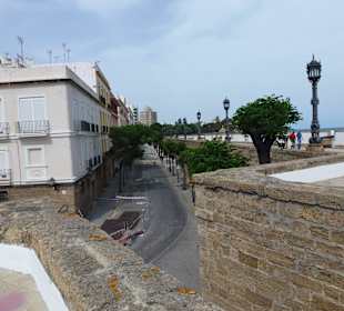 Cádiz