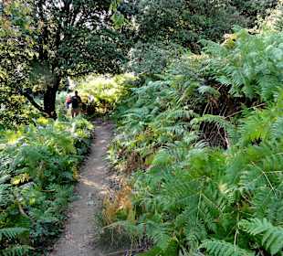 Wanderweg zum Tour de la Massane