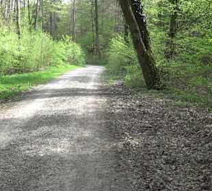 Walderlebnisweg Rottenburg