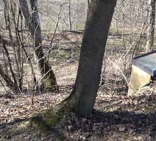 Ödenburg Oberstetten