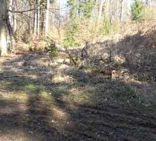 Historischer Rundwanderweg Aichtal