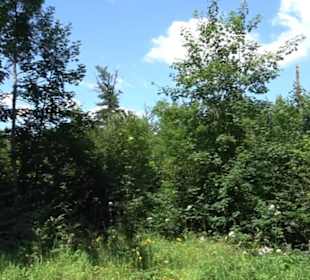 Naturerlebnispfad Sternberg