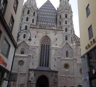 Přední pohled na Stephansdom z protější ulice