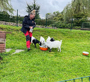 Kinderbauernhof Het Bukske