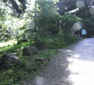 Uetliberg