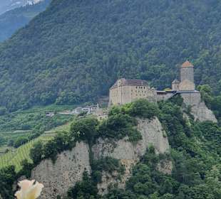 Schloss Tirol