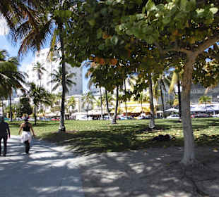 Blick auf den Ocean Drive